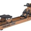 New 2022 First Degree Fitness Horizontal Viking PRO Indoor Rower CARDIO