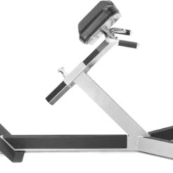 STRENGTH FreeMotion 45 Degree Back Extension (New 2022)