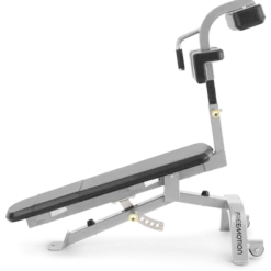 FreeMotion Abdominal Bench (New 2022) STRENGTH