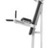 FreeMotion Dip Chin/Ab (New 2022)