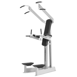 FreeMotion Dip Chin/Ab (New 2022)