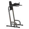 Body Solid STRENGTH New 2022 Body-Solid Vertical Knee Raise & Dip Station