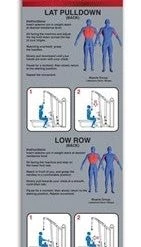 Body Solid New 2022 Body-Solid Series II Lat Pulldown And Seated Row STRENGTH