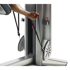 New 2022 FreeMotion Genesis Series Bicep