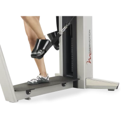 New 2022 FreeMotion Genesis Series Quadricep