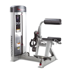 STRENGTH New 2022 FreeMotion Epic Selectorized Back Extension