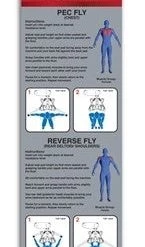 Body Solid New 2022 Body-Solid Series II Pec Fly And Rear Delt STRENGTH