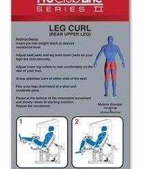 Body Solid STRENGTH New 2022 Body-Solid Series II Seated Leg Curl