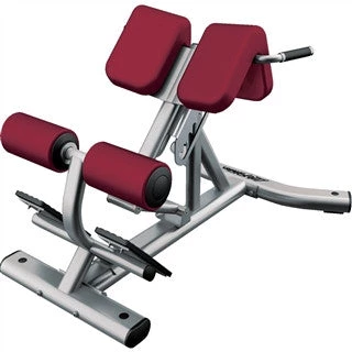Life Fitness Signature Series Back Extension Sbe 1 Life Fitness Signature Series Back Extension Sbe